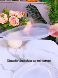 10pcs/pack 9 Inches Disposable Dinner Plates Microwavable Transparent Fruit Salad Plate Round Oval Picnic Plate Outdoor Home