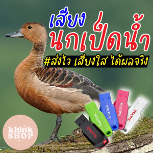 เสียงต่อนกเป็ดน้ำ นกเป็ดแดง เมมเสียงนกเป็ดน้ำ นกเป็ดแดง แฟลชไดร์ฟเสียงต่อนกเป็ดน้ำ นกเป็ดแดง มีเก็บเงินปลายทาง