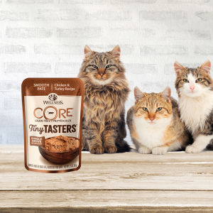 Wellness CORE Tiny Tasters Grain-Free Wet Cat Food 50g – Extra Hydration | 12 Flaked / Minced / Pâté