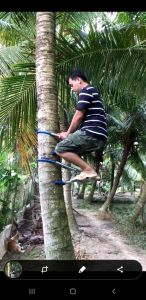 DỤNG CỤ LEO CÂY DỪA KIỂU NGỒI LEO
