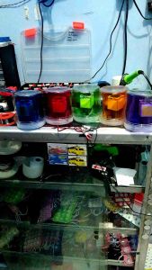 LED Blitz toples nyala bilzt 12/24volt