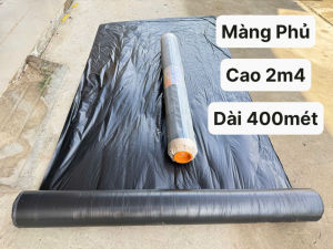 Màng Phủ ( 2m4 - 400m ) hỗ trợ làm vườn trồng cây và công trình Lót nền trước khi đổ bê tông.
