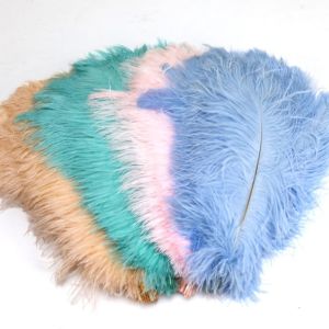 CANICECA 10Pcs 15-20cm Ostrich Feathers Stage Props Table Accessories Artificial Ostrich Feather Gifts DIY Ostrich Plumes Wedding Decoration