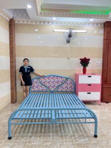 Giường sắt kích thước ngang từ 1M4 dài 2M – GS365 mẫu đơn giản tiện dụng dễ dàng tháo ráp di chuyển.