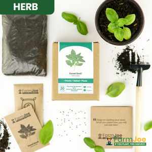 BASIL Growing Kit Planting Kit Seedling Kit Starter Kit Plant Growing Kit FarmJoe