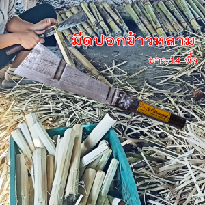 มีดอรัญญิก มีดปอกข้าวหลาม มีดหัวตัดยาว14นิ้ว