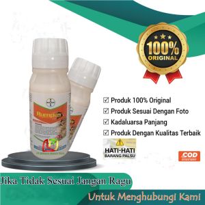 Herbisida Obat Rumput Mek Rumpas 100 ml Original Bayer