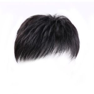 Real Natural Toupee For Men Covering Gray Hair And Hair Loss Middle-aged And Elderly Simulated Mens Full Wig