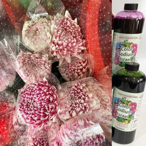 Nước nhuộm hoa tươi đổi màu đỏ thẫm theo công nghê Israel (Chai 1L nhuộm hơn 250 bông) tặng kèm dưỡng hoa tươi lâu
