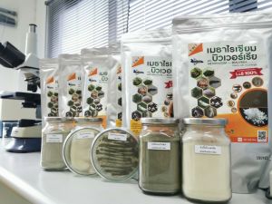 กัปตันเมธาบิว สูตรเข้มข้น เชื้อ 2 เท่า เชื้อราบิวเวอร์เรีย + เชื้อราเมธาไรเซียม แบบผง(500กรัม) ปลอดภัย 100 %