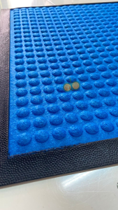 Keset karpet toilet bulu waterhog anti slip entrance mat