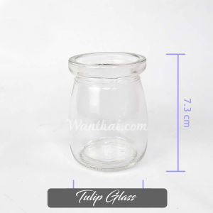 หัวทิวลิป ดอกสวยมาก มีหลายสีให้เลือก Wanthai ขายหัวลิลลี่ ว่านสี่ทิศ ทิวลิป ต้นไม้ฟอกอากาศ เมล็ดดอกไม้