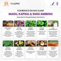 Madu Ambeno | Asli Menyembuhkan Wasir Dan Ambeyen Obat Ambeyen Obat Wasir Alami. 