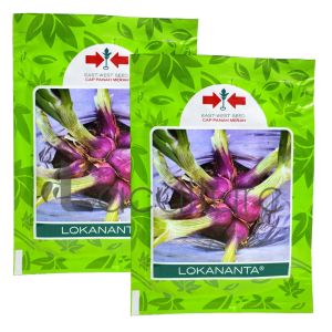 Benih Bawang Merah LOKANANTA Isi 10 gram Cap Panah Merah