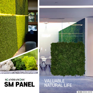 Moss Wall SCANDIAMOSS SM Panel Moss Green Color | Reindeer Moss Panels 12"X12" | Preserved Moss | Colorful Moss for Green Wall Art Wall Decor Arts and Crafts