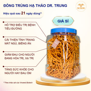 Dr. Trung - Nấm dược liệu Đông trùng hạ thảo loại Cao cấp hàng sỉ. Sấy thăng hoa nuôi trồng trên protein thực vật không chất bảo quản. OCOP 4 sao.