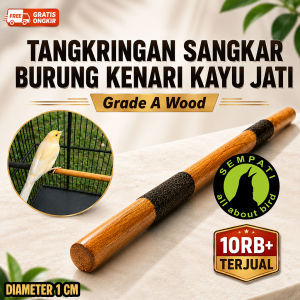 SEMPATI Tangkringan Kenari Kotak Kayu Jati Semi Amplas Premium Diameter 1 cm Tangkringan Sangkar Kandang Burung Kenari Jalak Cucak Grade A Wood Super Awet