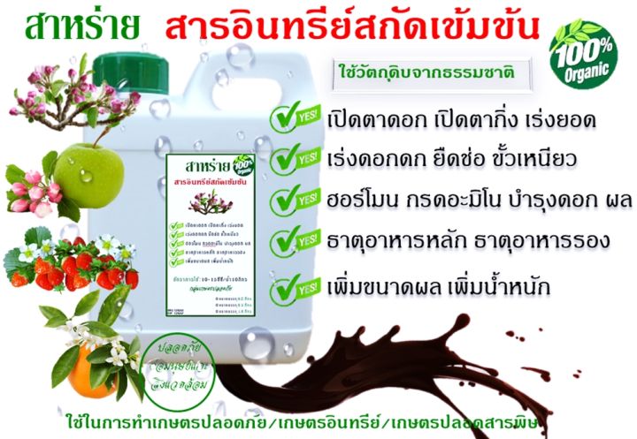 สาหร่ายทะเล + น้ำตาลทางด่วน สูตรเร่งดูดซึม ดอกดก ขั้วเหนียว