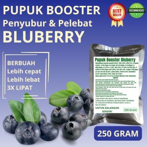 Pupuk Booster Bluberry / Obat Booster Bluberry / Pupuk Booster Bluberry / Pupuk Bluberry