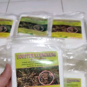 Pupuk Boster Kelengkeng Sodium Kristal 250gr: Penggunaan & Manfaat