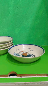 Combo 5 dĩa gà sâu lòng 20 cm