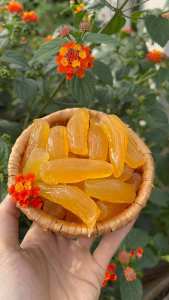 500gr khoai sâm sấy dẻo vị nguyên chất không đường - đồ ăn vặt - bách hóa online uy tín