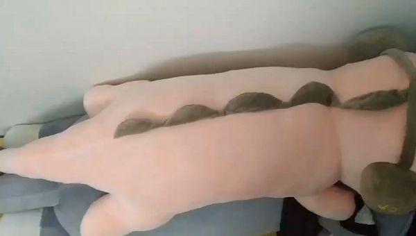Buyer review video 3