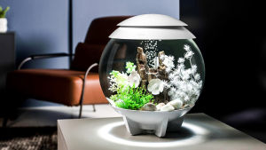 BiOrb Marble Pebbles Set (Aquarium Decoration)