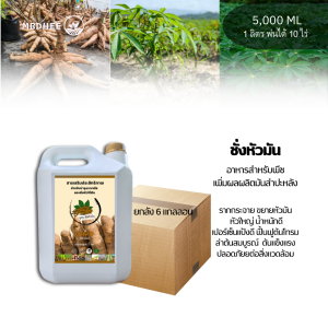 ปุ๋ยมันสำปะหลัง ยกลัง 6 แกลลอน ฮอร์โมนเร่งราก ระเบิดหัวมันสำปะหลัง รากขยาย สร้างแป้ง หัวใหญ่