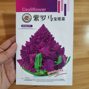 Gói 300 Hạt giống súp lơ san hô tím bông cải tím san hô rất đẹp Hoang My food and beauty