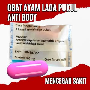 terra broozd Obat setelah laga ayam prongkol sobatayam