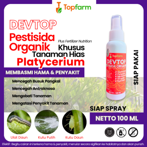 Obat Tanaman Hias / Obat Hama Daun Platycerium / Obat Platycerium / Obat Hama Platycerium Wandae Papua / Obat Hama Platycerium Wandae Papua Bibit / Pupuk Platycerium Hili Papuanum