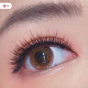 SOFTLENS MINUS DAN NORMAL NEWBLUK BROWN Diameter 15mm (0.00 sd -6.00) GRATIS TEMPAT SOFLENS