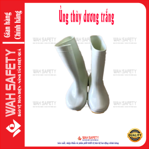 Ủng Thùy Dương trắng PVC – Ủng lội nước cổ cao chống trơn mang êm chân