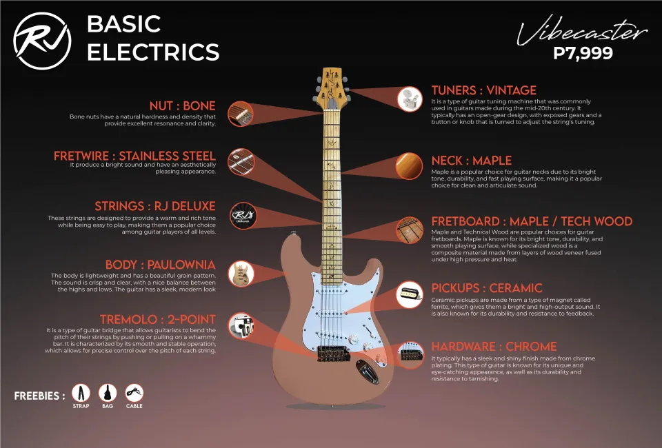 RJ Vibecaster Electric Guitar (Silversky Stratocaster