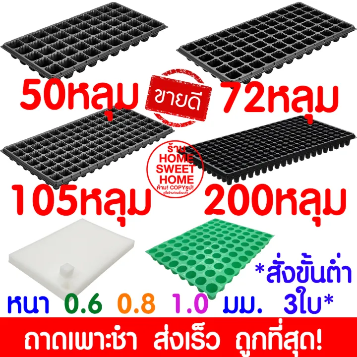 5 อันดับ ถาดเพาะกล้า ยี่ห้อไหนดี? อัปเดตปี 2026 สำหรับทุกการเพาะปลูก