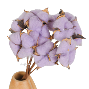 (10PCS) COTTON Dried Dry Real Natural Flower Bouquet Flowers Plant Plants Home Living Room Studio Photos Photo Decor Decoration Wedding Birthday Surprise Roman Romantic Anniversary Lovely Convocation Bunga Hiasan Dekorasi Rumah Bilik