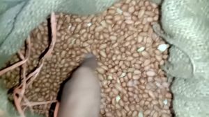 kacang tanah import 1000g