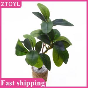 ZTOYL💝 1 6 Dollhouse Simulation Green Plant Potted Plants Model Dollhouse Home Scene Decoration Micro Landscape Garden Plant Ornaments
