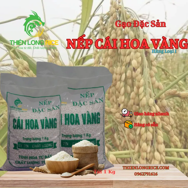 NẾP BẮC CÁI HOA VÀNG TÚI 1KG HÀNG LOẠI 1