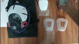 Chemical Mask 6800 7 in 1 Gas Mask Dustproof Respirator Paint Pesticide Spray Silicone Full Face Filters For Laboratory Welding2026