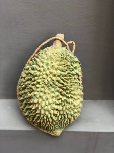 🔥จัดส่งฟรี รวมกระเป๋าทุเรียนทุกขนาด 🔥กระเป๋าทุเรียน กระเป๋าสตางค์