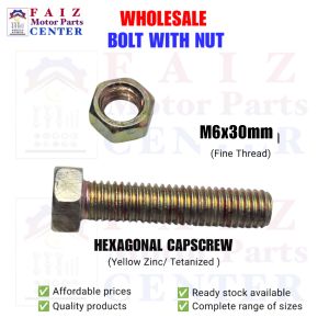 10 pcs. BH. 6x30mm (#10 sa yabe /tools)GOLD PLATED HEX BOLT WITH NUT (Tetanized Zinc Plated)
