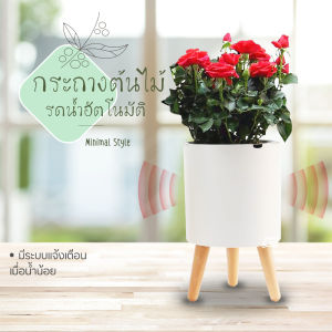 มีเสียงแจ้งเตือน เมื่อน้ําหมด กระถางต้นไม้ สไตล์ มินิมอล มีขาตั้ง รดน้ําอัตโนมัติ สไตล์ญี่ปุ่น กระถางพลาสติก กระถางปลูกต้นไม้