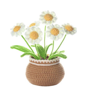 DIY Crochet Flowers Kit with Yarn Knitting for Beginners With Video Tutorials Knit Tool Crochet Potted Plant Decoration