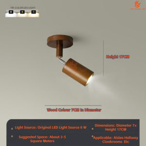 SG Stock New Chinese lamps and lanterns Living room spotlights Background wall track lights Bedroom cloakroom corridor