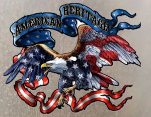 Hình ủi ép nhiệt-hình in áo đại bàng Sticker logo American Eagle -khuyến mãi - công nghệ in pet chuyển nhiệt- ủi trực tiếp lên vải áo rất đẹp