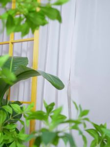 扬子声控电风扇家用空气循环扇360度旋转语音智能风扇落地扇台扇
