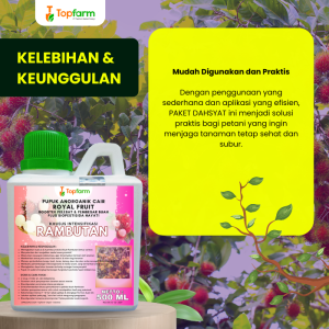 Pupuk Topfarm / Pestisida Topfarm / Pupuk Pelebat Buah Rambutan / Pupuk Rambutan Agar Berbuah / Pupuk Pembesar Buah Rambutan / Obat Hama Tanaman Rambutan / Obat Semut Pohon Rambutan / Obat Ulat Buah Rambutan
