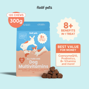 Floof Pets 8in1 Dog Multivitamins 300g 120 chews Dog probiotics Dog Vitamins for Immune System Dog Health Supplements Appetite Booster for Dogs and more: Dog Food for Enhanced Dog Care & Immunity Support Coatshine Antioxidants